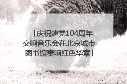 庆祝建党104周年交响音乐会在北京城市图书馆奏响红色华章