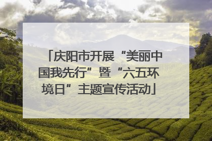 庆阳市开展“美丽中国我先行”暨“六五环境日”主题宣传活动