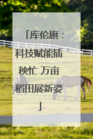 库伦旗：科技赋能插秧忙 万亩稻田展新姿