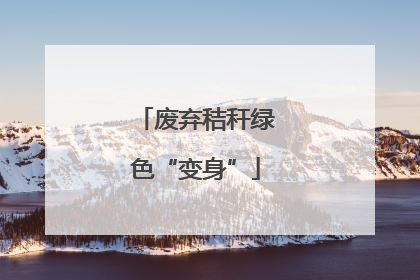 废弃秸秆绿色“变身”