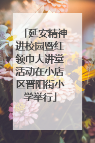 延安精神进校园暨红领巾大讲堂活动在小店区晋阳街小学举行