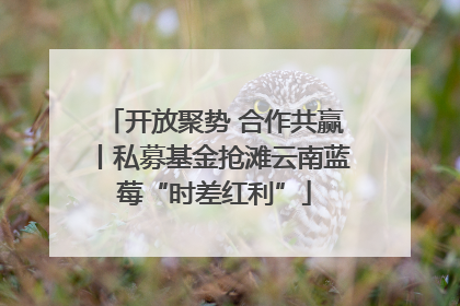 开放聚势 合作共赢丨私募基金抢滩云南蓝莓“时差红利”