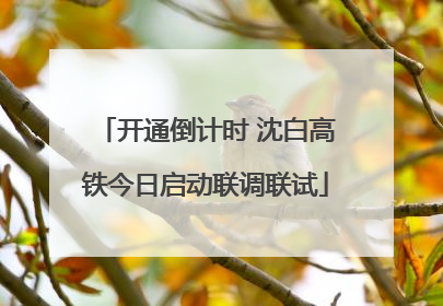 开通倒计时 沈白高铁今日启动联调联试
