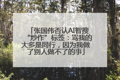 张国伟否认AI智搜“炒作”标签：骂我的大多是同行，因为我做了别人做不了的事