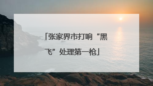 张家界市打响“黑飞”处理第一枪