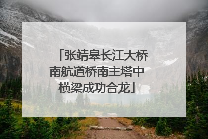 张靖皋长江大桥南航道桥南主塔中横梁成功合龙