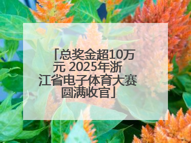 总奖金超10万元 2025年浙江省电子体育大赛圆满收官