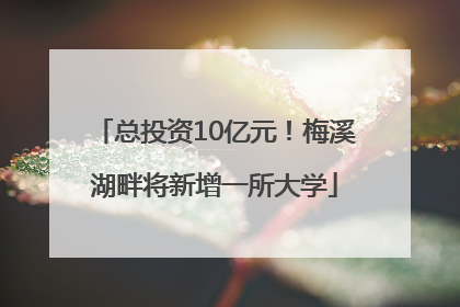 总投资10亿元！梅溪湖畔将新增一所大学