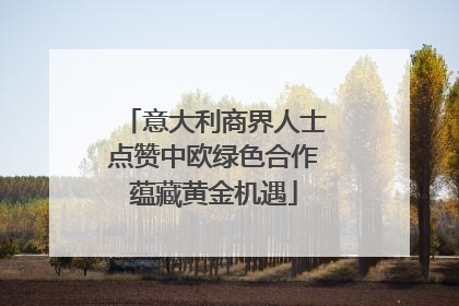意大利商界人士点赞中欧绿色合作蕴藏黄金机遇