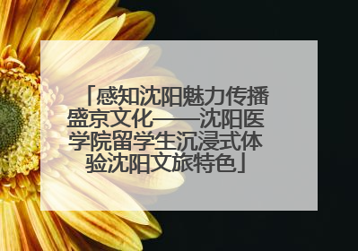 感知沈阳魅力传播盛京文化——沈阳医学院留学生沉浸式体验沈阳文旅特色