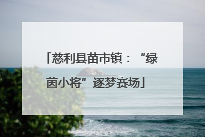慈利县苗市镇：“绿茵小将”逐梦赛场