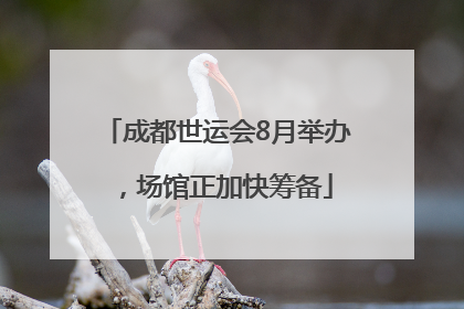 成都世运会8月举办，场馆正加快筹备