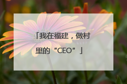我在福建，做村里的“CEO”