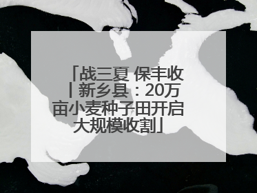 战三夏 保丰收丨新乡县：20万亩小麦种子田开启大规模收割