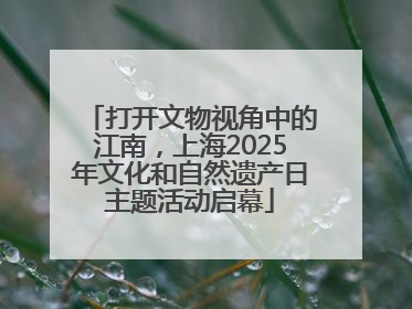 打开文物视角中的江南，上海2025年文化和自然遗产日主题活动启幕