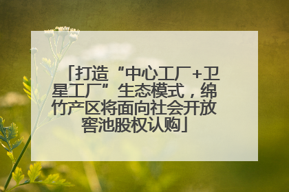打造“中心工厂+卫星工厂”生态模式，绵竹产区将面向社会开放窖池股权认购