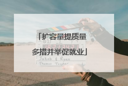 扩容量提质量 多措并举促就业