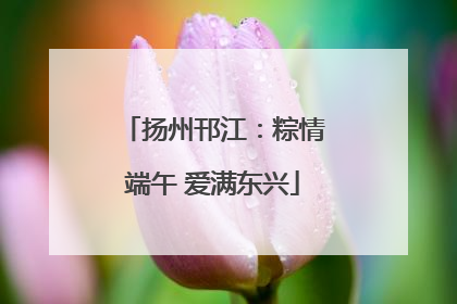 扬州邗江：粽情端午 爱满东兴