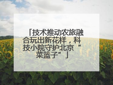 技术推动农旅融合玩出新花样，科技小院守护北京“菜篮子”