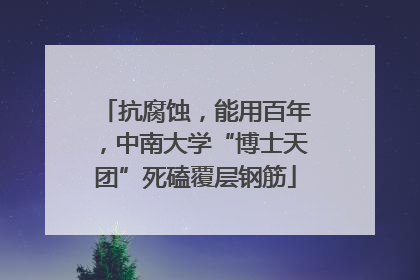 抗腐蚀，能用百年，中南大学“博士天团”死磕覆层钢筋