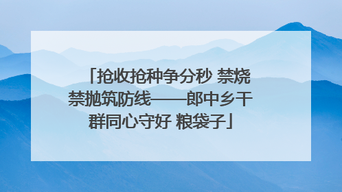 抢收抢种争分秒 禁烧禁抛筑防线——郎中乡干群同心守好 粮袋子