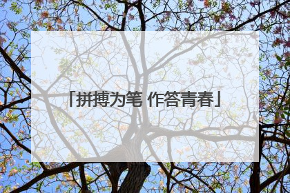 拼搏为笔 作答青春