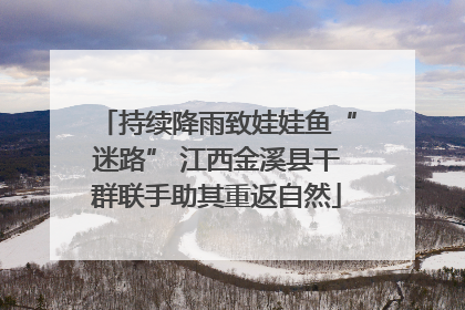 持续降雨致娃娃鱼“迷路” 江西金溪县干群联手助其重返自然
