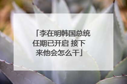 李在明韩国总统任期已开启 接下来他会怎么干