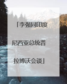 李强同印度尼西亚总统普拉博沃会谈