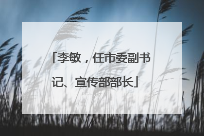 李敏，任市委副书记、宣传部部长