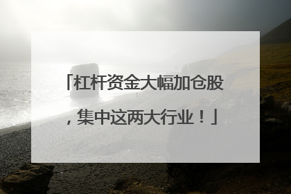 杠杆资金大幅加仓股，集中这两大行业！