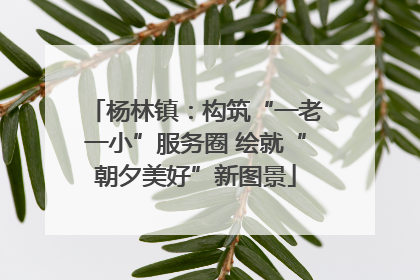 杨林镇：构筑“一老一小”服务圈 绘就“朝夕美好”新图景