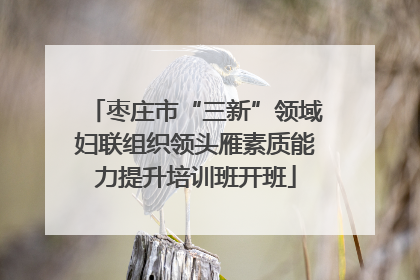 枣庄市“三新”领域妇联组织领头雁素质能力提升培训班开班