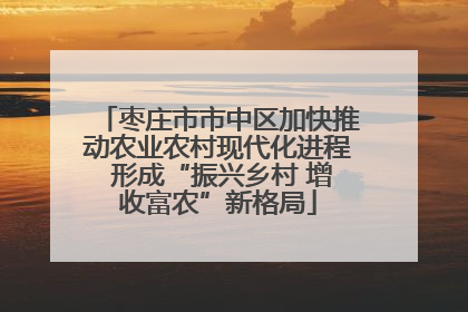 枣庄市市中区加快推动农业农村现代化进程 形成“振兴乡村 增收富农”新格局