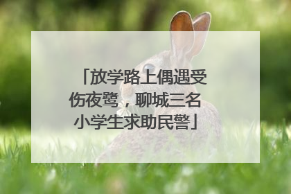 放学路上偶遇受伤夜鹭，聊城三名小学生求助民警
