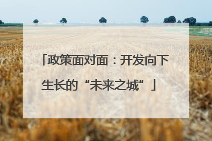 政策面对面：开发向下生长的“未来之城”