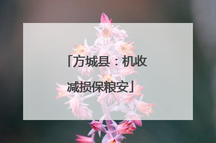 方城县：机收减损保粮安