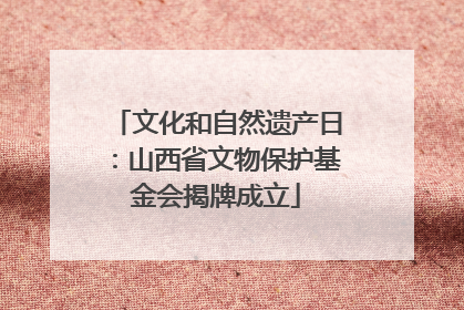 文化和自然遗产日：山西省文物保护基金会揭牌成立