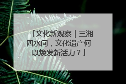 文化新观察｜三湘四水间，文化遗产何以焕发新活力？