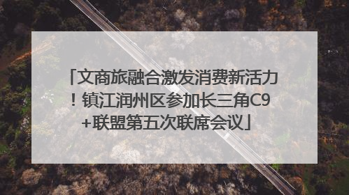 文商旅融合激发消费新活力！镇江润州区参加长三角C9+联盟第五次联席会议
