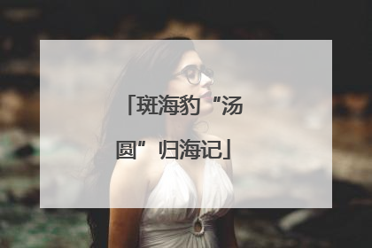 斑海豹“汤圆”归海记