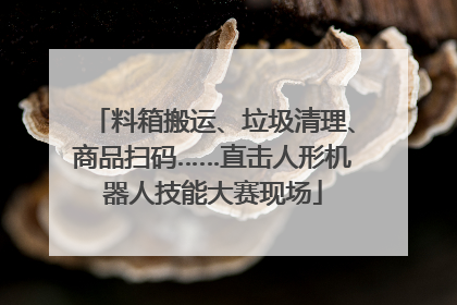 料箱搬运、垃圾清理、商品扫码……直击人形机器人技能大赛现场