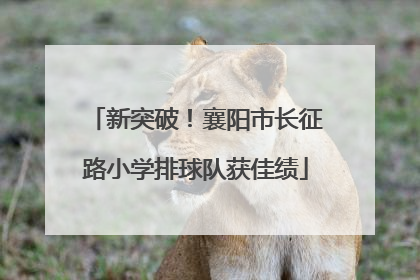 新突破!襄阳市长征路小学排球队获佳绩