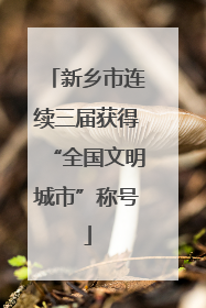 新乡市连续三届获得“全国文明城市”称号