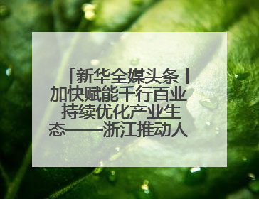 新华全媒头条丨加快赋能千行百业 持续优化产业生态——浙江推动人工智能健康有序发展观察
