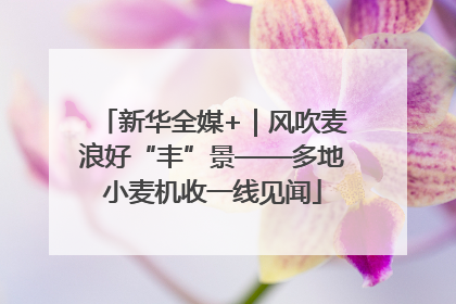 新华全媒+｜风吹麦浪好“丰”景——多地小麦机收一线见闻