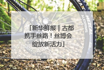 新华鲜报｜古都携手丝路！丝博会绽放新活力