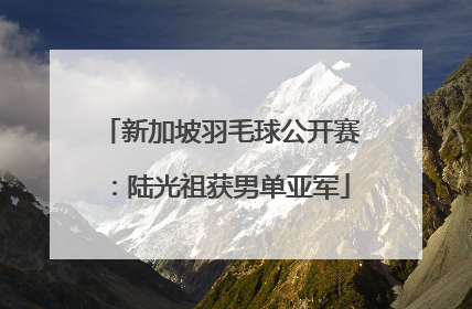 新加坡羽毛球公开赛：陆光祖获男单亚军