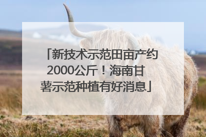 新技术示范田亩产约2000公斤！海南甘薯示范种植有好消息