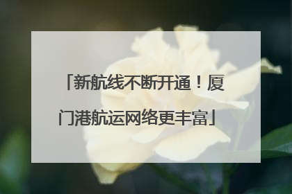 新航线不断开通！厦门港航运网络更丰富